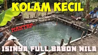 MANCING BORONGAN NILA BABON SEMUA ❗️❗️❗️PEMANCING PANIK SEMUA❗️❗️❗️