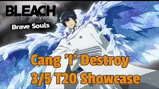 TYBW Cang Du Stern Ritter I 3/5 T20 Showcase IT Ultra IZ Coop Solo