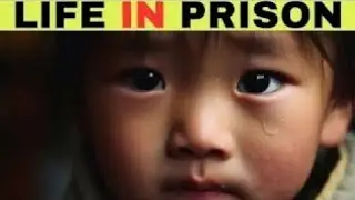 2 year old sentenced to life in prison for a bible