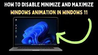 How To Disable Minimize and Maximize Windows Animation in Windows 11