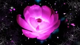 Gently Cut Etheric Cords [432Hz - Healing Frequency]