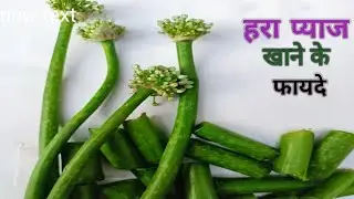 हरा प्याज खाने के फायदे  ll  प्याज के पत्ते खाने से क्या होता है ll