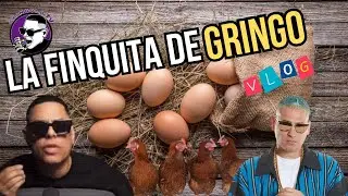 JAMSHA EN LA FINQUITA DE GRINGO (VLOG)