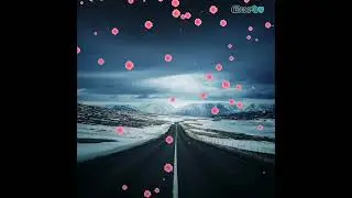 Would You Stay | mortv_official