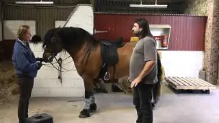 Выездковые седла для местных пони, лошадей породы &laquo;широкая лошадь&raquo; и коббов