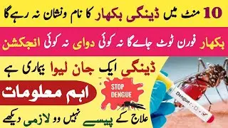 Dengue Fever Treatment Symptoms डेंगू बुखार के लक्षण, उपचार व बचाव-Degu ka ilaj in Hindi-Degu Machar
