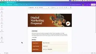 5  Highlight Block & Dividers & Quotes in Canva Docs