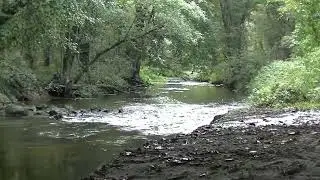 Raccoon Creek Piano Improvisation Number Three