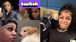 Streamer Aspen Kartier Faces Backlash After Dog Abuse on Livestream