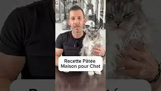 Recette p&acirc;t&eacute;e maison pour chat!
