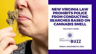NEW VIRGINIA LAW PROHIBITS POLICE SEARCHES BASED ON CANNABIS SMELL | TRICHOMES Morning Buzz