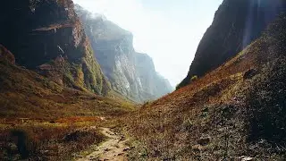 Beautiful relaxing music for study, sleep, meditation, games!