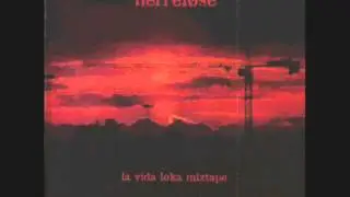 Herrel&oslash;se - Fotspor p&aring; vegga (2005)