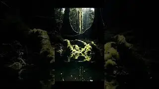 🤯RARE Fish Discovered in Amazon?!🌳🐟 You Won't BELIEVE This! #amazon #fish #discovery