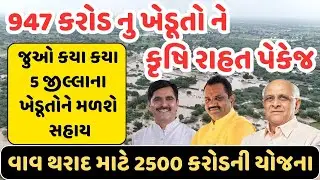 પાક નુકસાન જાહેરાત|જાણો ખેડૂતોને કેટલી સરકાર સહાય મળશે? |કૃષિ સહાય પેકેજ2025,Khedut pak nuksan sahay