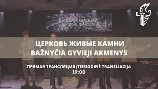 Небесное ДНК I Николай Залуцкий I 2026.01.23