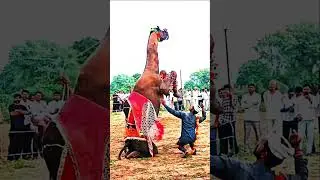 Rajasthani camel beautiful dance 2025||#camel #shorts #viral #trending #shortsfeed #dance
