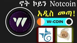 ቶሎ በሉ እዳያመልጣችሁ! BLUM The Next NOTCOIN: HAMSTER KOMBAT, BLUM @Osmiteck @bighabesha @etubers 2024