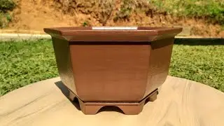 Beautiful Plant Pot Hexagon Model