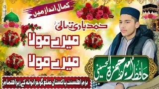 HAFIZ AMEER HAMZA AL-HUSSAINI NEW HAMAD BARI TALA KARAM DE EK NAZAR MERA MOLA MERA MOLA  ❤
