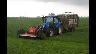 Karmienie krów świeżą trawą