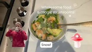Can a dog poo fairy work in the snow? Good food and magic mushrooms x