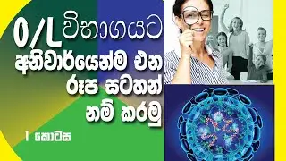 O/L Science - Naming Pictures - (ජීව විද්‍යාව රූප සටහන් නම් කරමු)