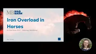 Iron Overload in Horses - Mad Barn - Vet Talk