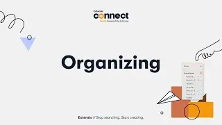 Organizing in Connect Fonts