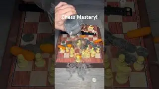 You Need to Play This Move! #shorts #viral #chess #memes