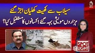Floods Destroy Farms, Livestock Lost&mdash;Farmers&rsquo; Future Threatened - Pakistan news