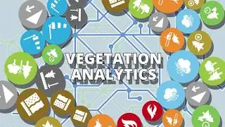 NM Group Vegetation Analytics - Machine Learning led predictive analytics for vegetation management