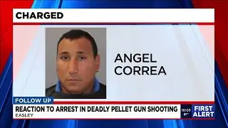 Upstate man charged in deadly pellet gun shooting