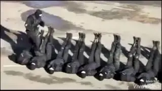 Militant training