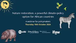 Nature restoration: a powerful climate-policy option for African countries - WEBINAR