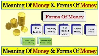 Meaning Of Money  | Definitions Of Money |  Forms Of Money | History Of Indian Currency  | Money Eco