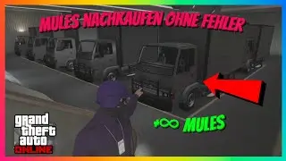 😱 Mule Custom NACH FEHLER UNENDLICH nachkaufen! 🚛 GTA 5 ONLINE Glitch 2025 (Patch 1.71)
