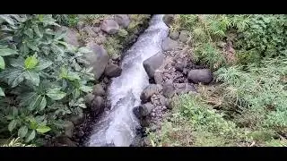 sungai kecil arus deras 🌷🌷( relaxation )