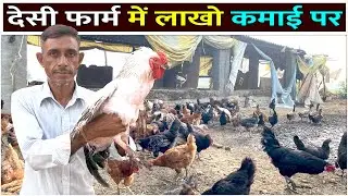 देसी मुर्गी में कमाई | Desi Poultry Farming | Desi Murgi Palan