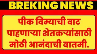 Pik Vima Yojana New Update Today's | pik Vima Big Update | pik vima 2024 new update #pikvima