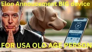 SMART GPS DOG COLLARS FOR SENIOR PET OWNERS &ndash; TRACTIVE VS SATELLAI COMPARISON & REVIEW 2025
