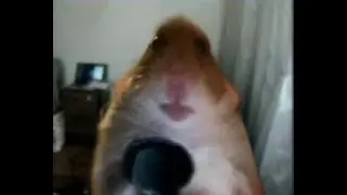 Легендарный Lords Mobile