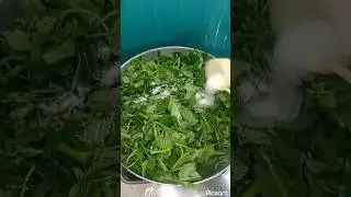 karmi saag recipe💚#shotrs #youtubeshorts #homemade saag#trending#yummy  #ytshort
