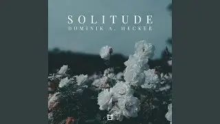 Solitude