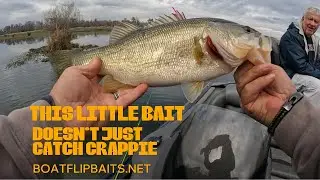 This little bait doesn't just catch crappie