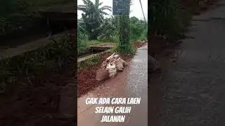 galian kabel  terus galih  gak ada cara laen selain galih #galiankabel #jalanrusak