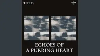 Echoes Of A Purring Heart