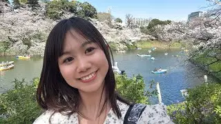 Japan Live 💖🌸 Rowing Boat in Imperial Palace Moat!! Full Bloom Sakura in Tokyo! 🚣  皇居のお堀に手漕ぎボート！ 🌸
