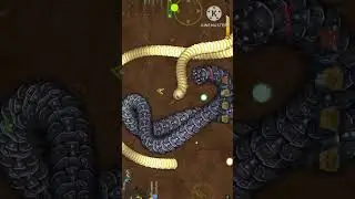 LITTLE BIG SNAKE #196 #littlebigsnake #littlebigsnak