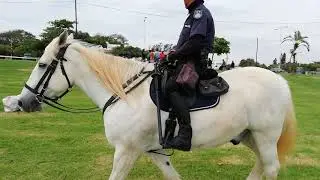 Durban Metro Police on horses patrolling Blue lagoon.